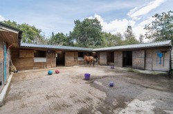 Images for Whitestone