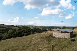 Images for Whitestone