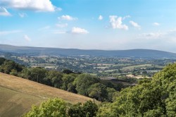 Images for Whitestone