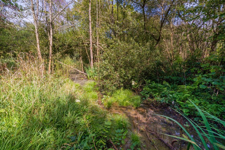 Images for Freshwater Bay, Isle of Wight