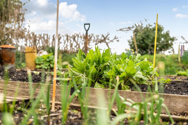 Images for Rampisham, Dorchester