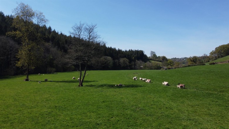 Click the photo for more details of Near Chawleigh