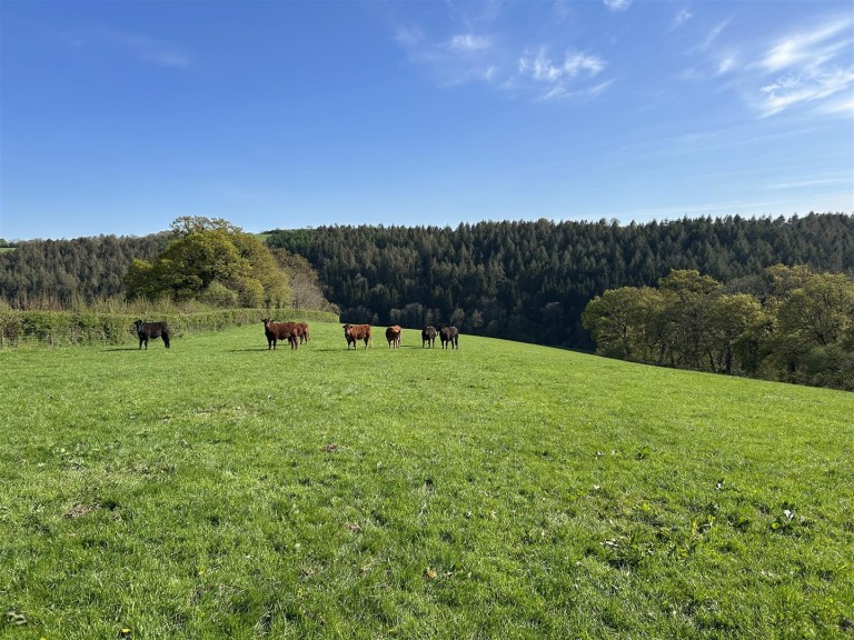 Images for Near Chawleigh