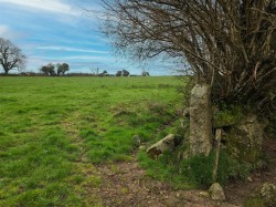 Images for Widecombe-In-The-Moor, Newton Abbot