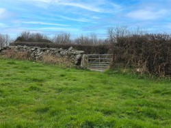 Images for Widecombe-In-The-Moor, Newton Abbot