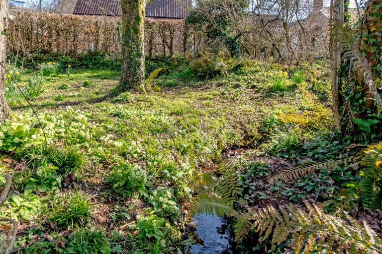 Images for Crowcombe, Taunton