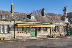 Images for Central Tavistock