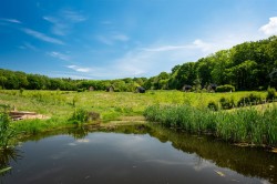 Images for Lydeard St. Lawrence