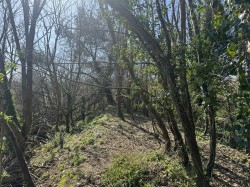 Images for Budleigh Salterton