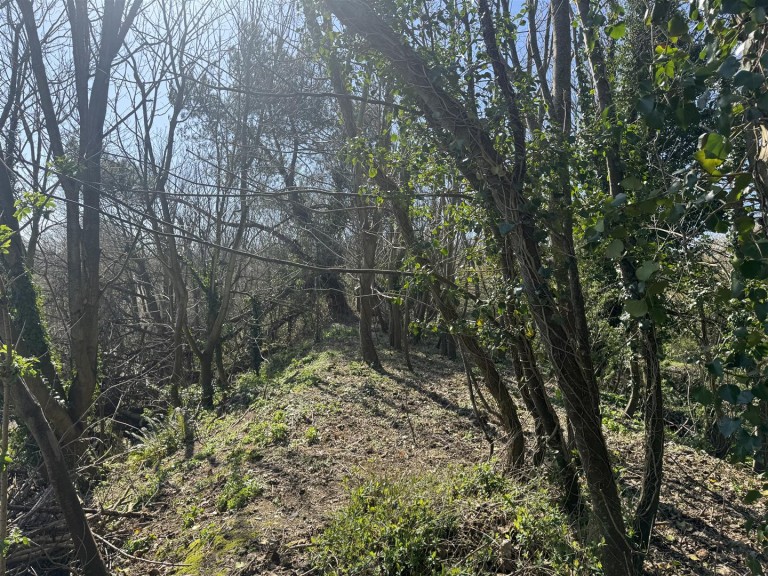 Images for Budleigh Salterton