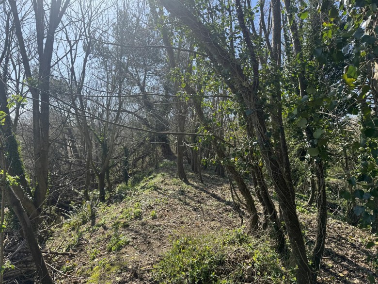 Click the photo for more details of Budleigh Salterton