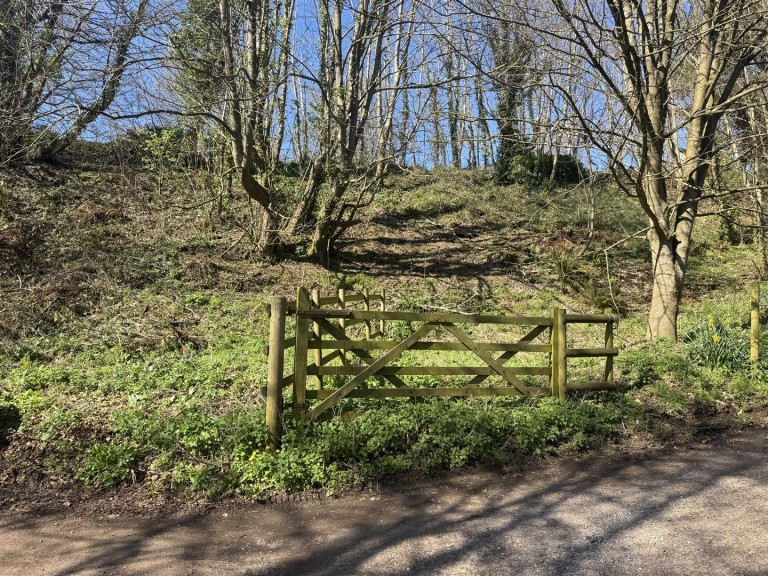 Images for Budleigh Salterton