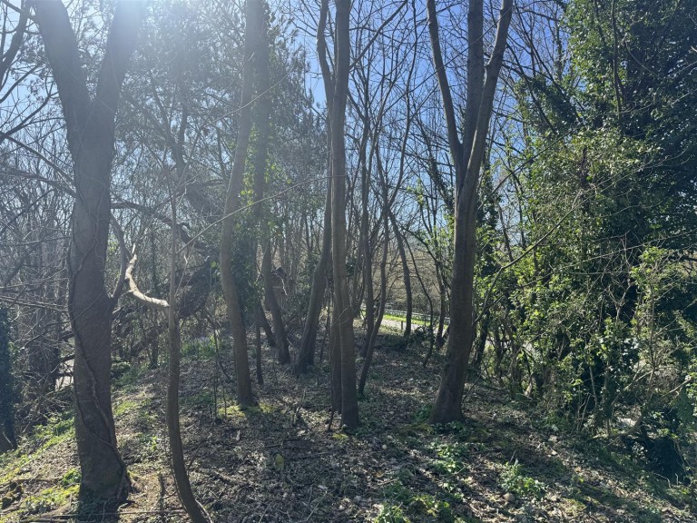 Images for Budleigh Salterton