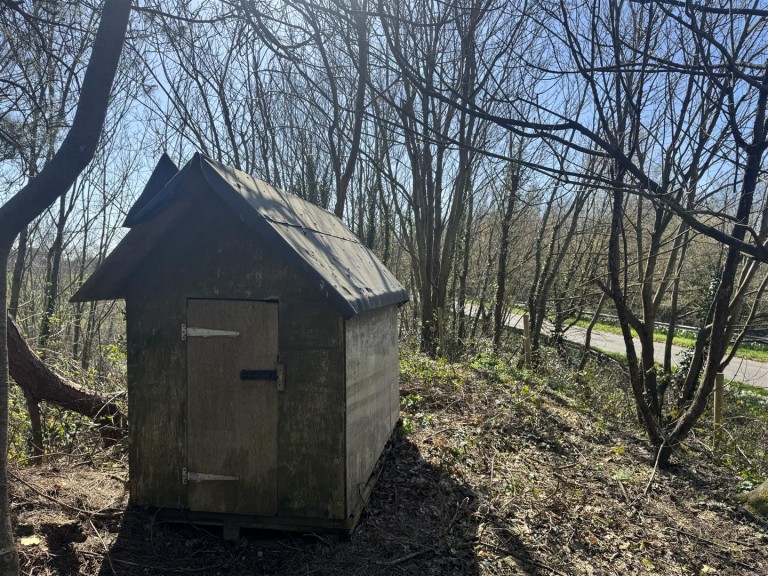 Images for Budleigh Salterton