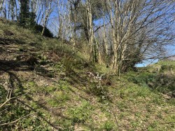 Images for Budleigh Salterton