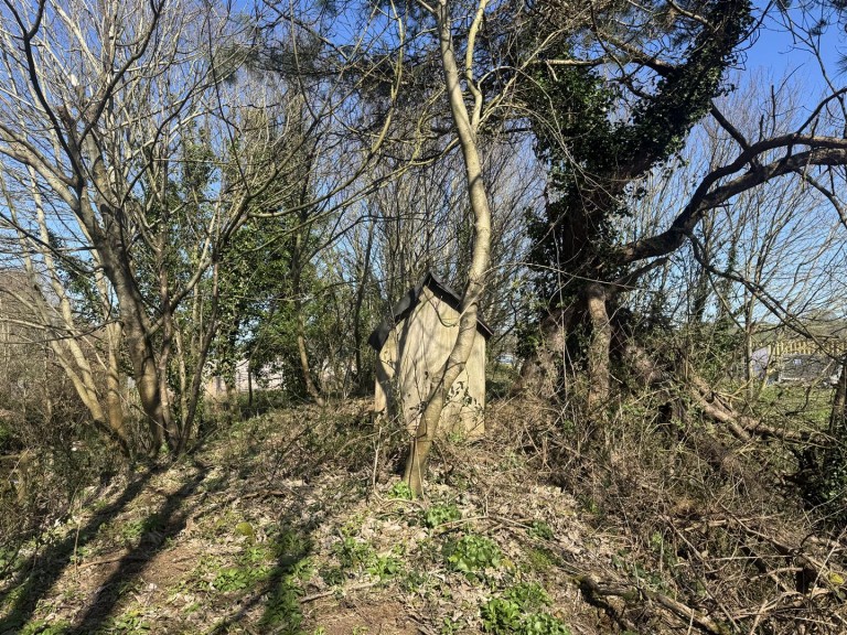 Images for Budleigh Salterton