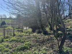 Images for Budleigh Salterton