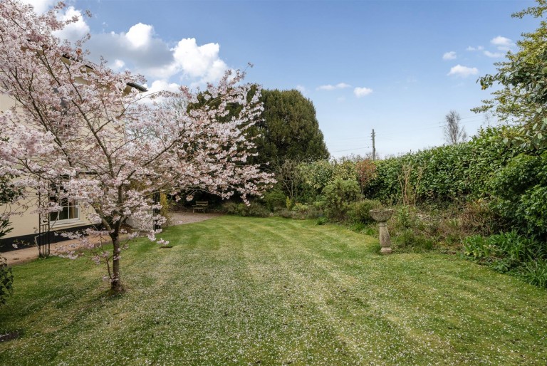 Images for Holford, Bridgwater