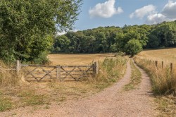 Images for Hele, Exeter