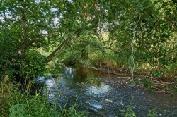 Images for Hele, Exeter