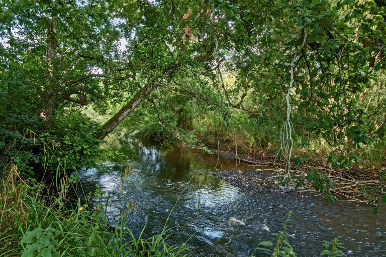 Images for Hele, Exeter