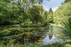 Images for Widworthy, Honiton