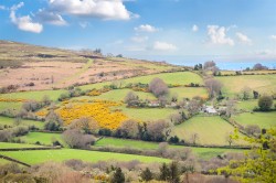 Images for Chagford, Newton Abbot