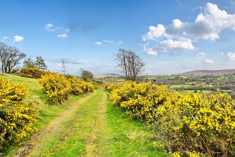 Images for Chagford, Newton Abbot