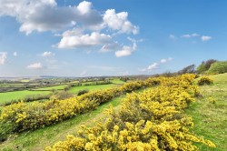 Images for Chagford, Newton Abbot
