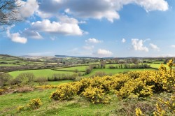 Images for Chagford, Newton Abbot