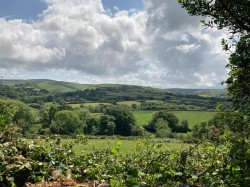 Images for Chagford, Newton Abbot