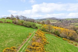 Images for Chagford, Newton Abbot