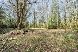 Images for Horton Road, Three Legged Cross, Wimborne