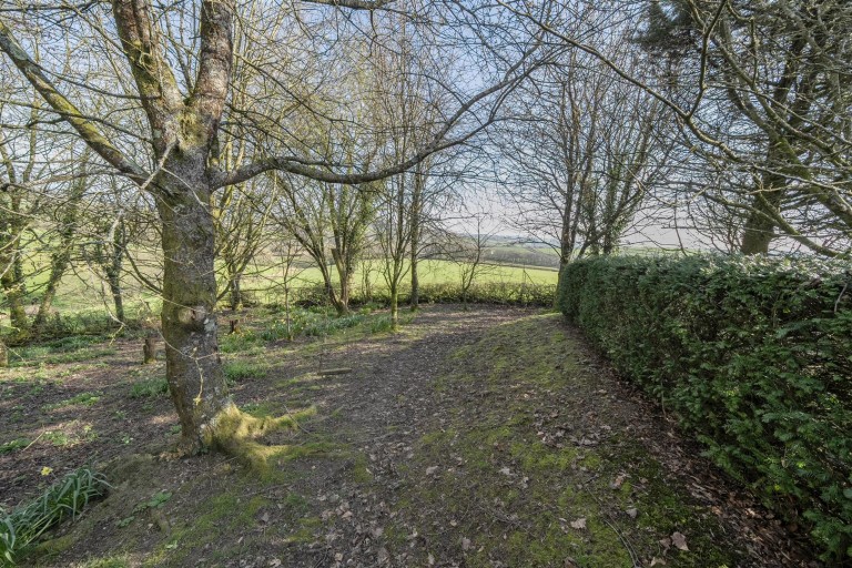 Images for Petton, Shillingford