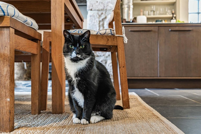 Images for Mill Street, Chagford, Newton Abbot