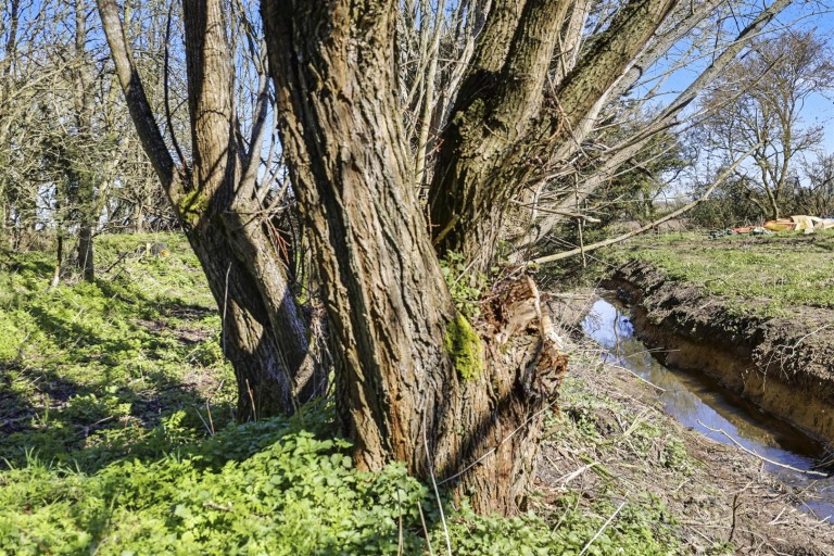 Images for Debden Green, Saffron Walden