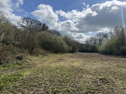 Click the photo for more details of Mount Hindrance Lane, Chard