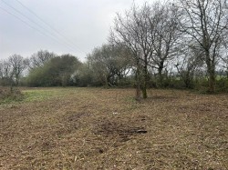 Images for Mount Hindrance Lane, Chard