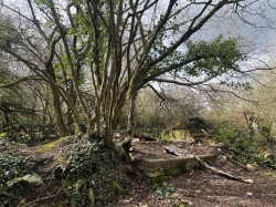 Images for Mount Hindrance Lane, Chard