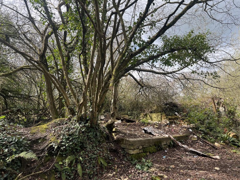 Images for Mount Hindrance Lane, Chard