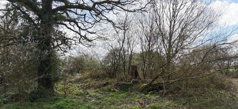 Images for Mount Hindrance Lane, Chard