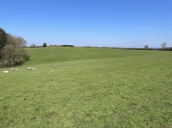 Images for Umberleigh