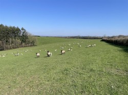 Images for Umberleigh