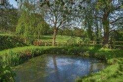 Images for Bampton, Tiverton