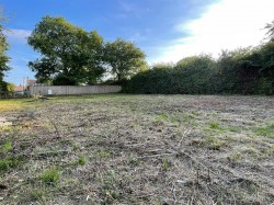 Images for Shave Lane, Horton, Ilminster