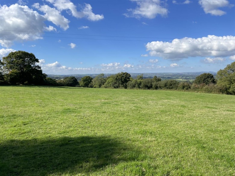 Click the photo for more details of Wrangway, Wellington