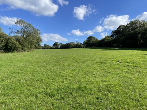 Click the photo for more details of Wrangway, Wellington