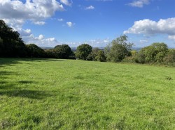 Images for Wrangway, Wellington