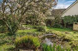 Images for Derril, Pyworthy