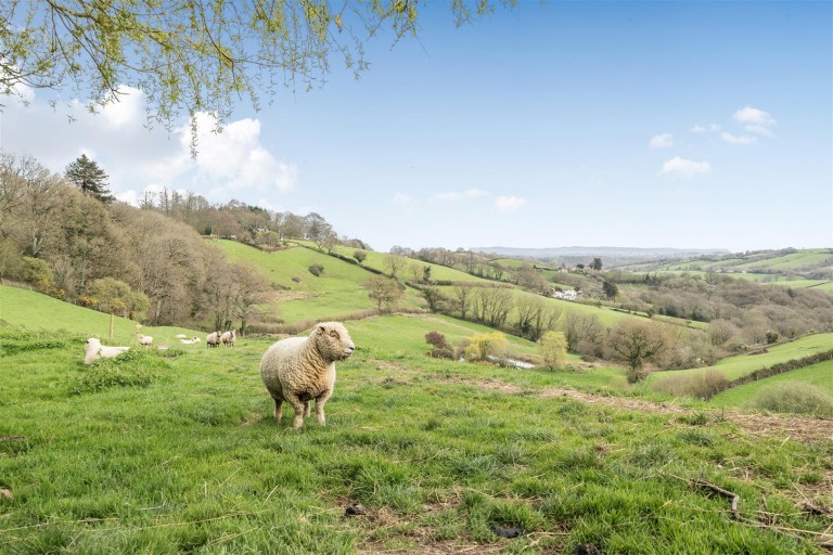 Images for Whitestone, Exeter